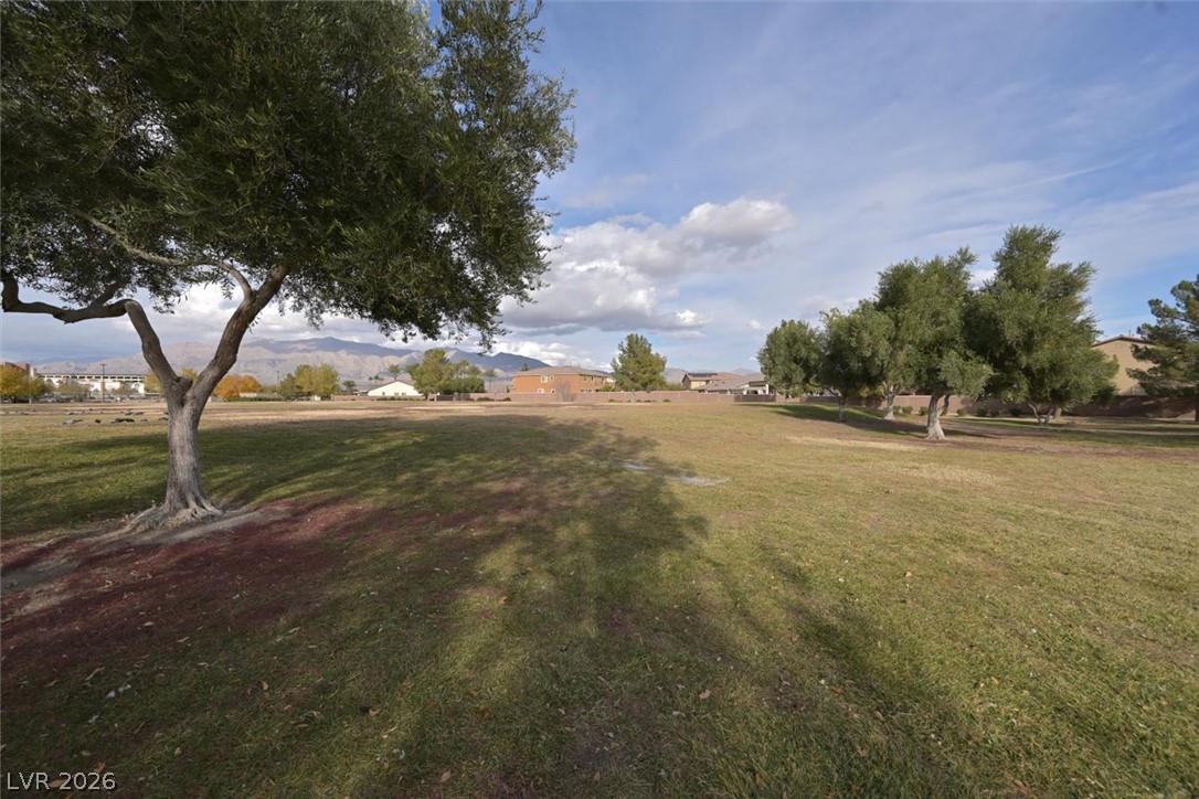 Photo 30 of 42, 728 Emerson Creek Court