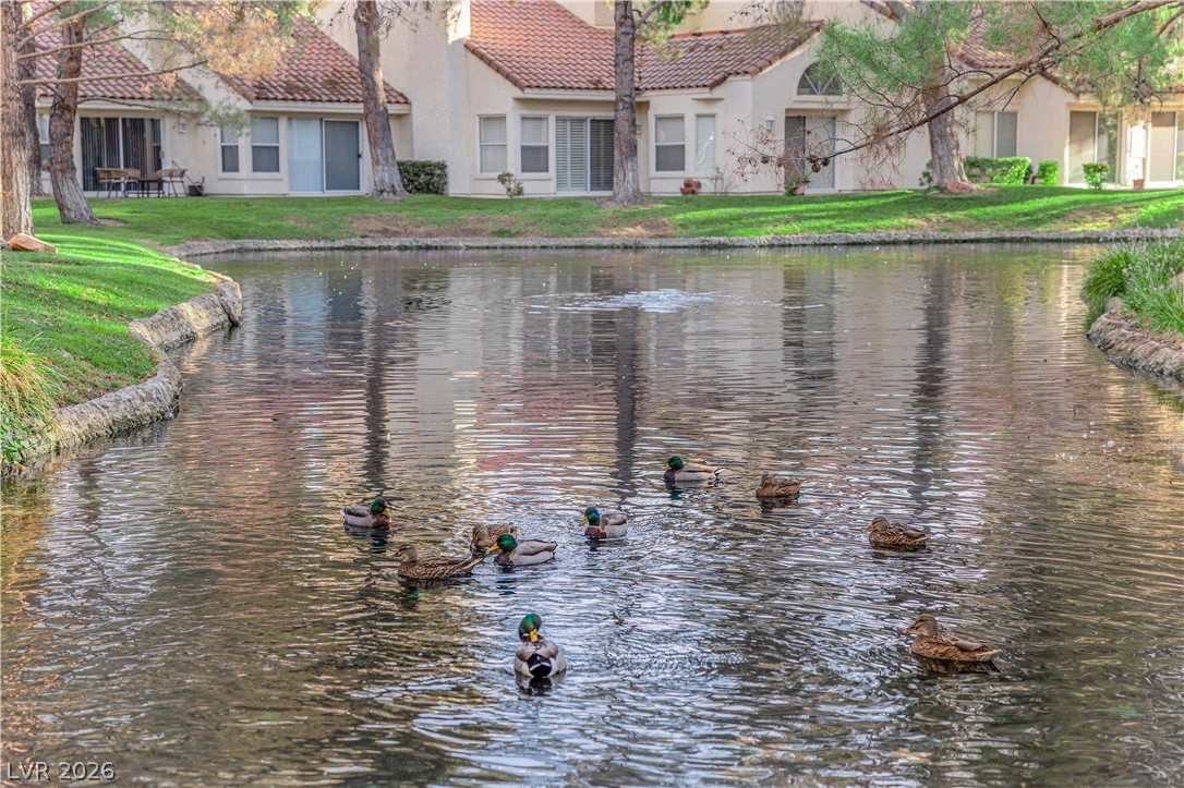 Photo 44 of 46, 6940 Emerald Springs Lane