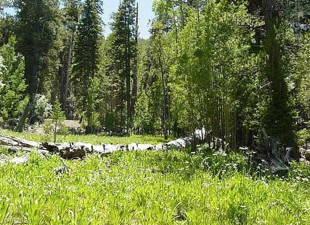 0 Deer Creek, Mount Charleston 89124