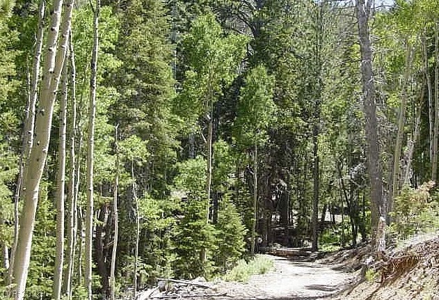 Photo 4 of 0 Deer Creek