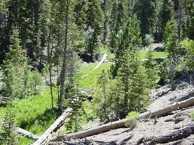 Photo 7 of 16, 0 Deer Creek