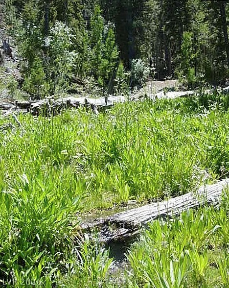 Photo 10 of 16, 0 Deer Creek