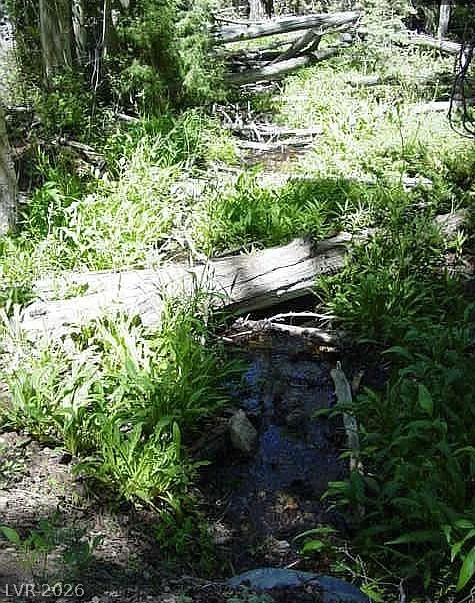 Photo 11 of 16, 0 Deer Creek