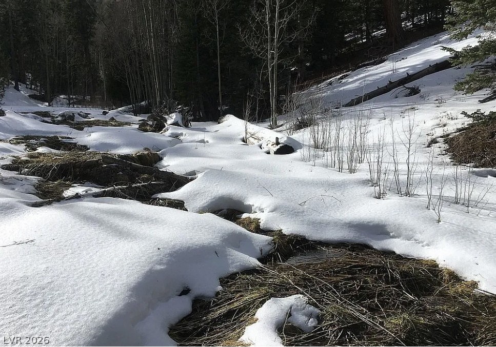 Photo 12 of 16, 0 Deer Creek