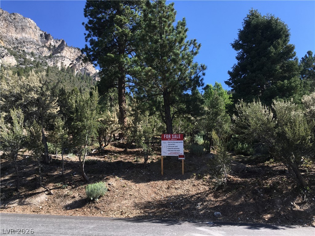 4878 Snow White Road, Mount Charleston 89124