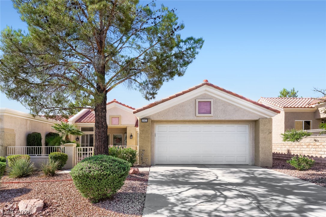 10413 Junction Hill Drive, Las Vegas 89134