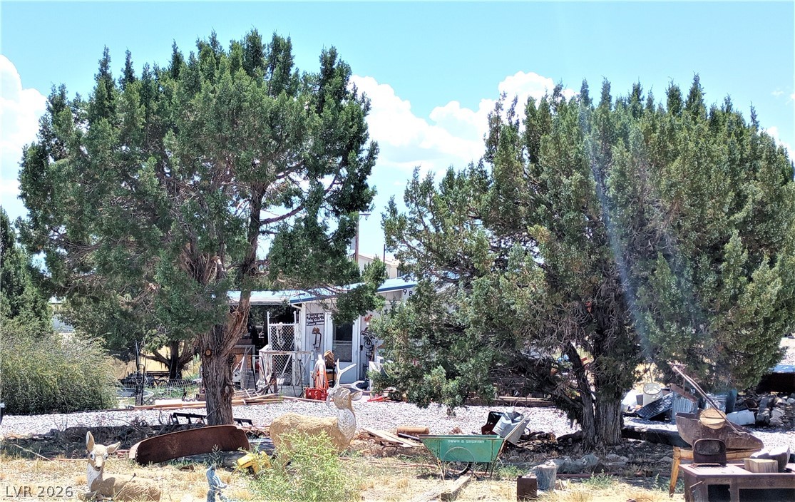986 Bartolo Road, Pioche 89043