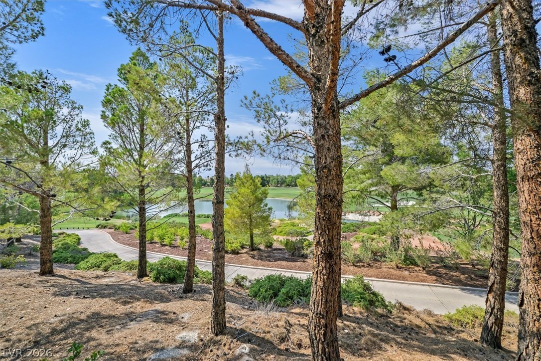 Photo 49 of 57, 11772 CANONS BROOK Drive
