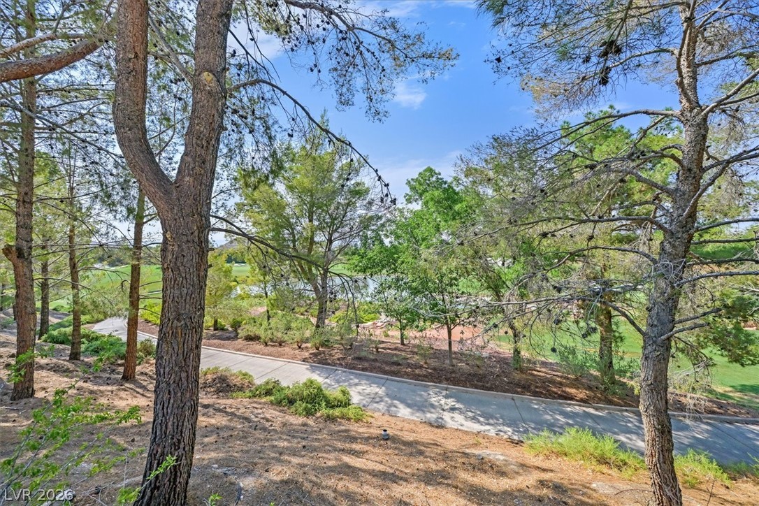 Photo 50 of 57, 11772 CANONS BROOK Drive