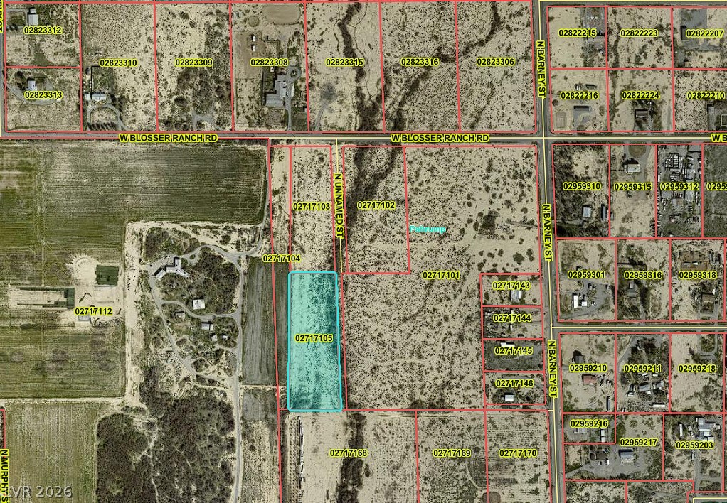 3190 W Effinger Street, Pahrump 89060
