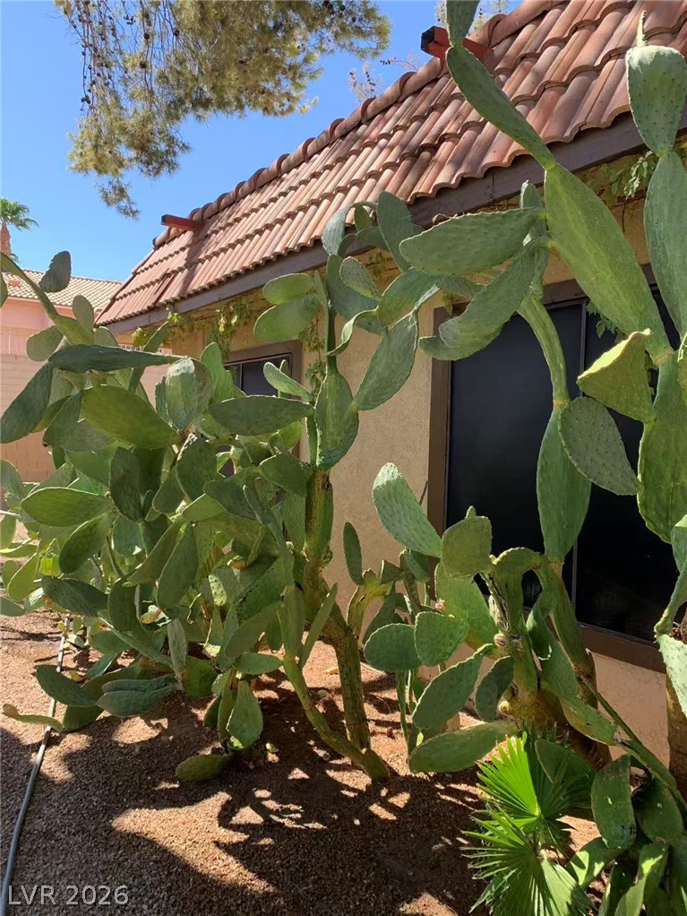 Photo 24 of 25, 1897 Avacado Court