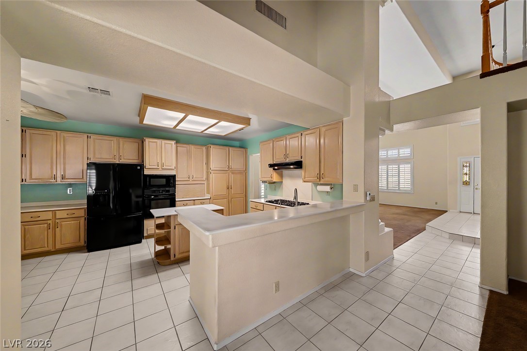 Photo 16 of 39, 7628 Belmondo Lane