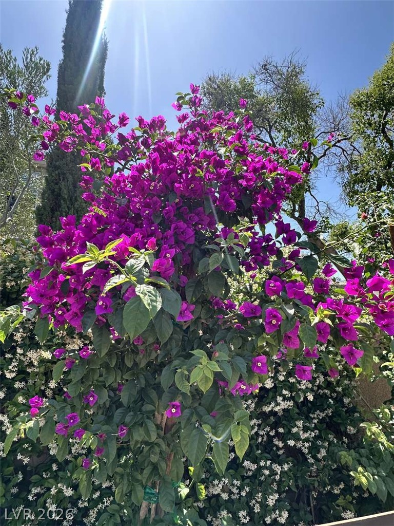 Photo 3 of 9329 Eagle Ridge Drive