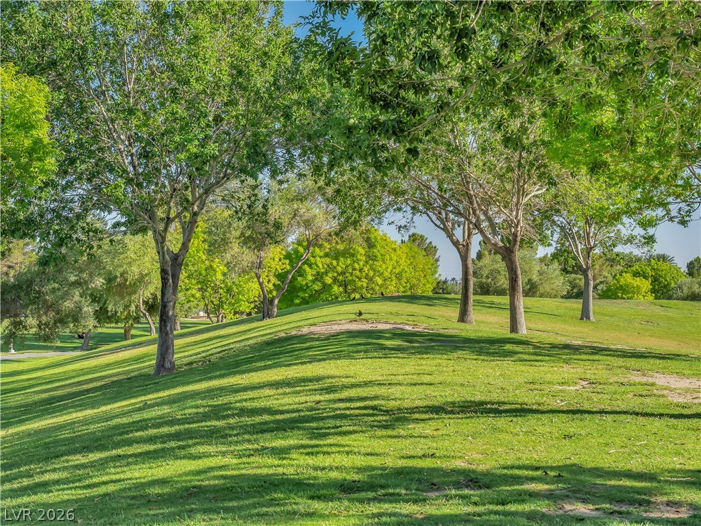 Photo 53 of 66, 2129 Mistle Thrush Drive