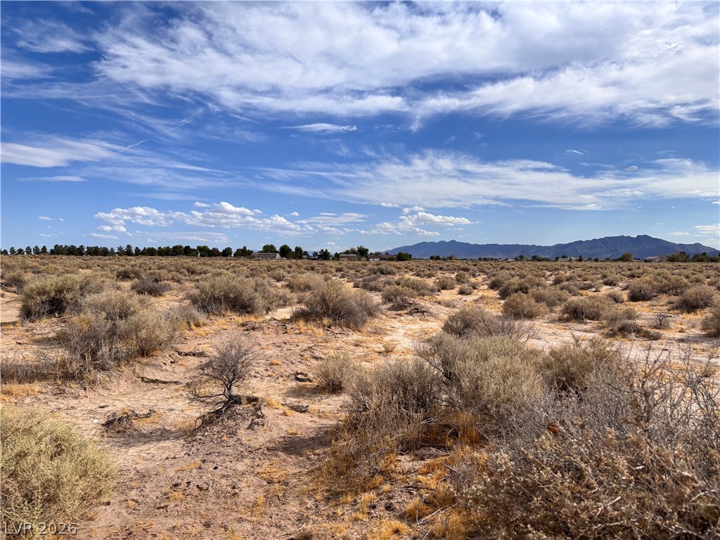 1311 W Nye Road, Pahrump
