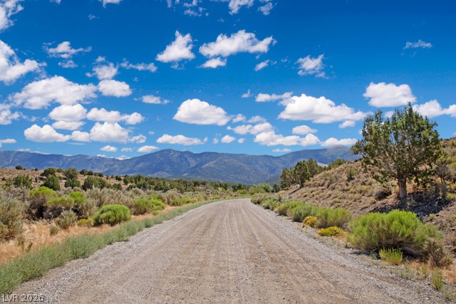 4900 E BIRD CREEK Road #LOT 8, Ely