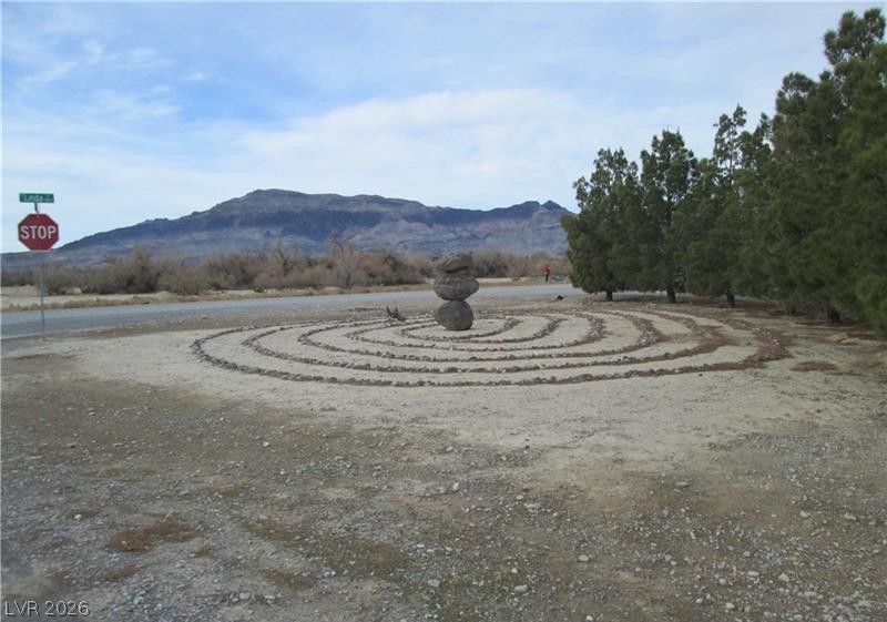 980 W Leffner Drive, Pahrump 89060