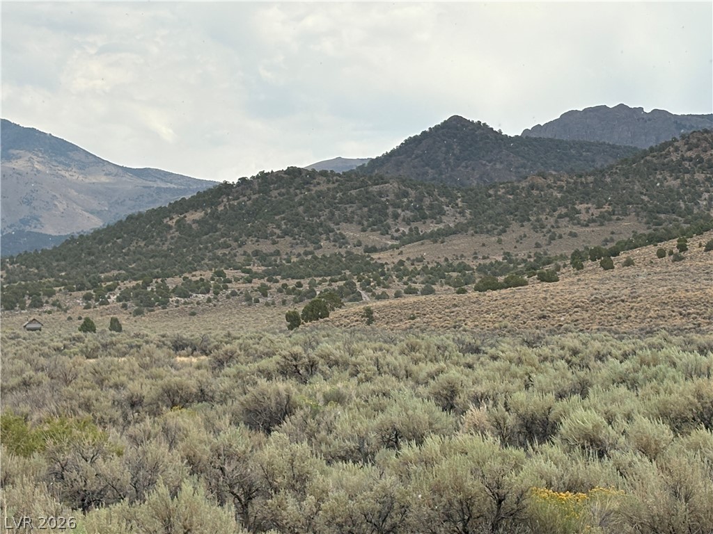 Mattier Creek, Ely 89301
