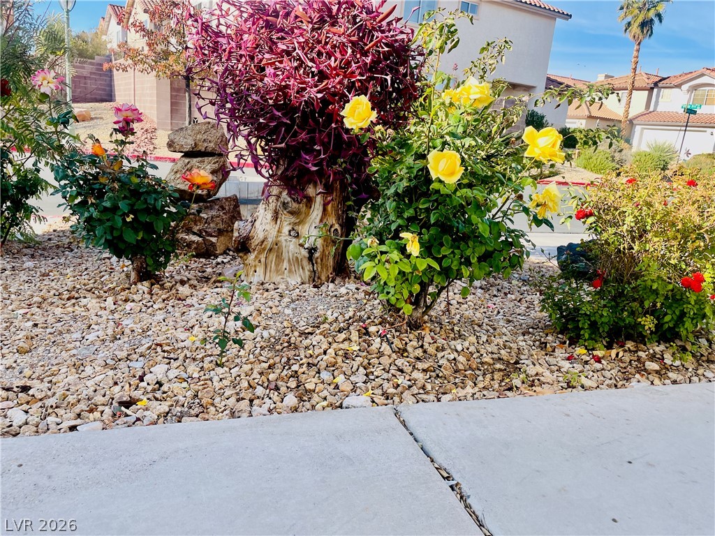 Photo 24 of 29, 9224 Canalino Drive
