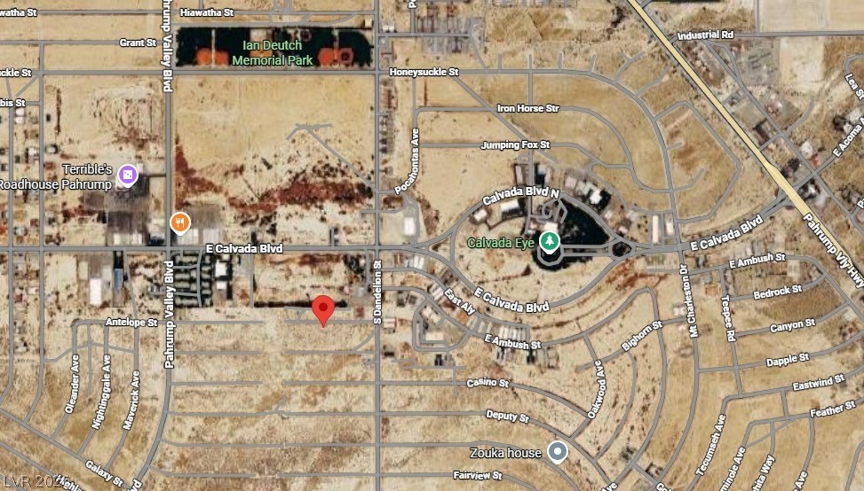 1681 Antelope Street, Pahrump 89048