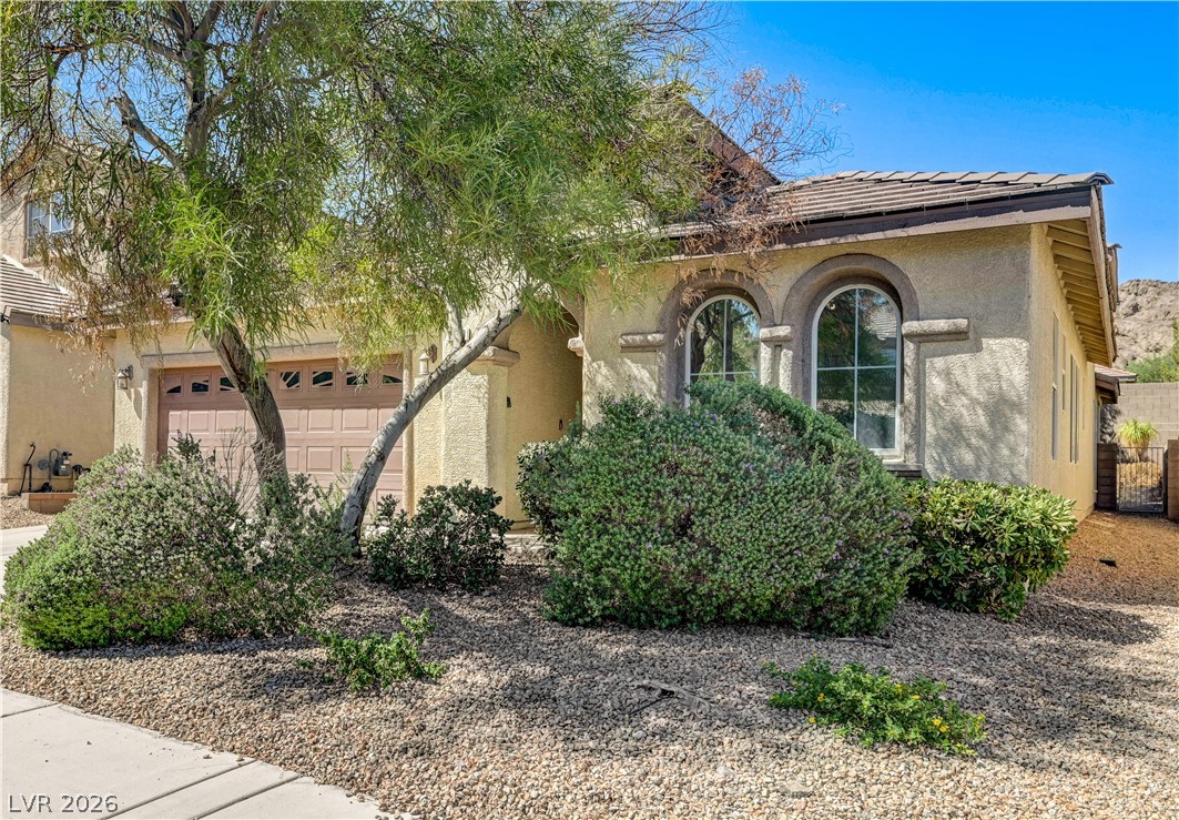 1133 Denman Valley Street, Henderson