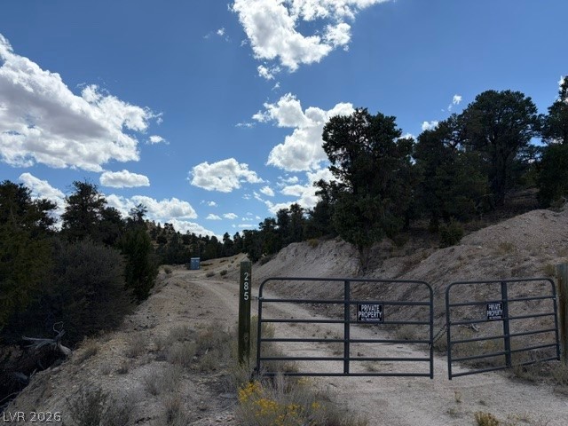 285 E Ward Mountain Drive, Ely 89301