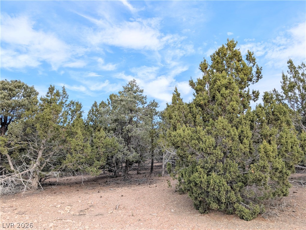 Lot 1-A Side Hill Pass, Pioche 89043