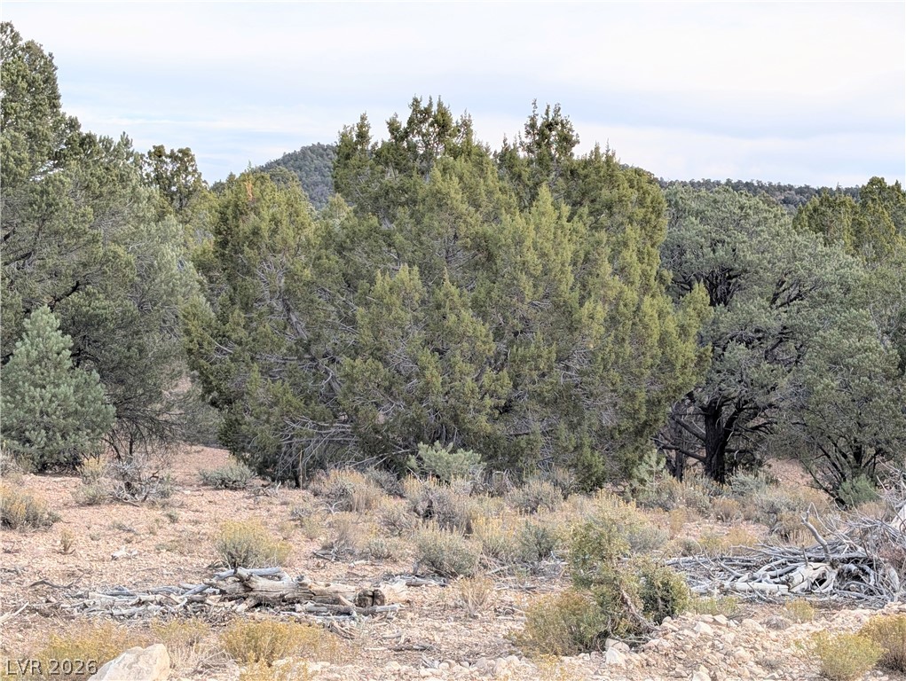 Lot 1-B Side Hill Pass, Pioche 89043