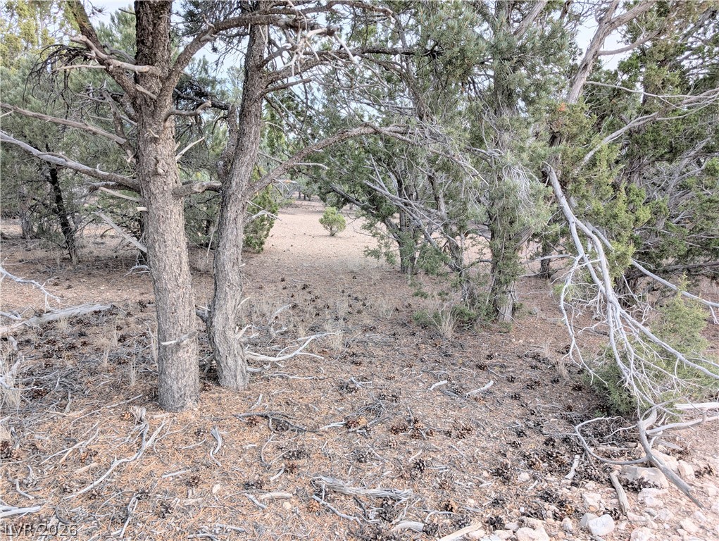 Photo 10 of 20, Lot 1-C Side Hill Pass