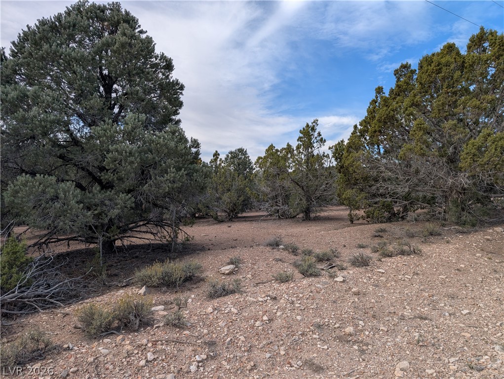 Lot 1-D Side Hill Pass, Pioche 89043