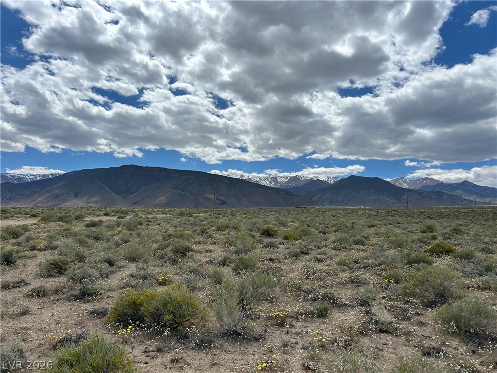 233 MOUNTAIN WATER RANCH, Dyer 89010