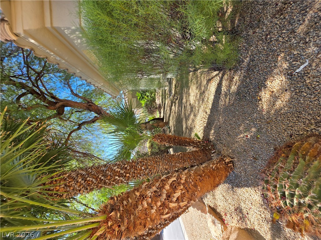 Photo 10 of 61, 7430 Bisonwood Avenue