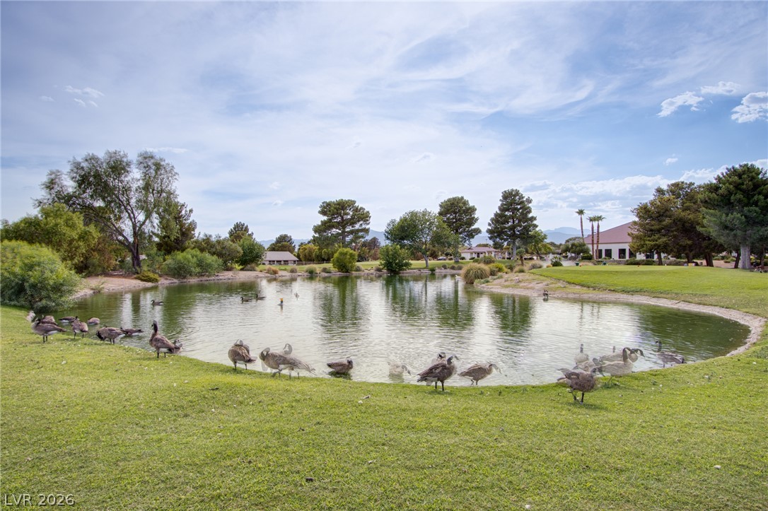 Photo 46 of 55, 4920 Winterset Drive