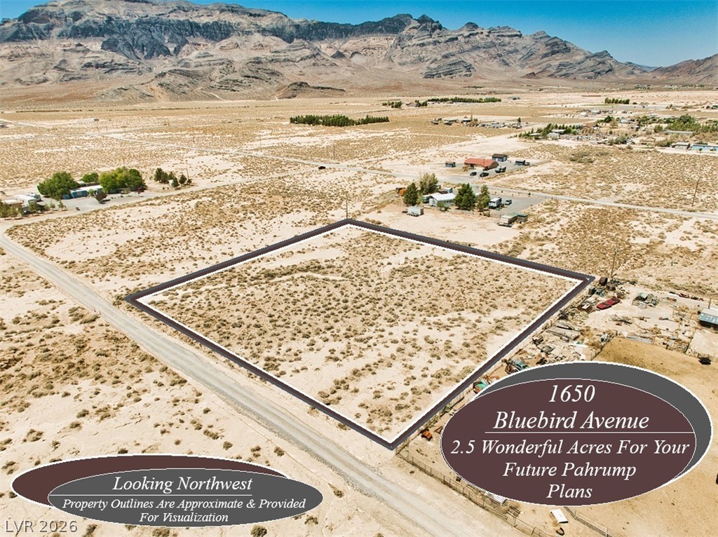 1650 W Bluebird Avenue, Pahrump 89060