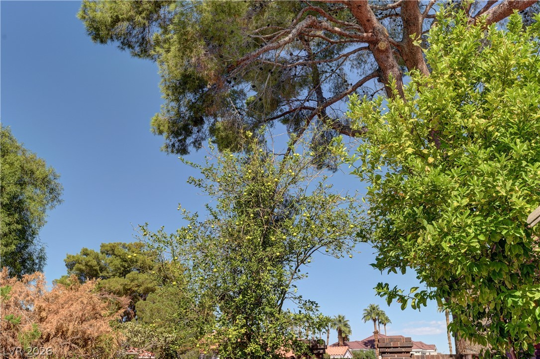 Photo 40 of 72, 3380 Camino Gardens Way
