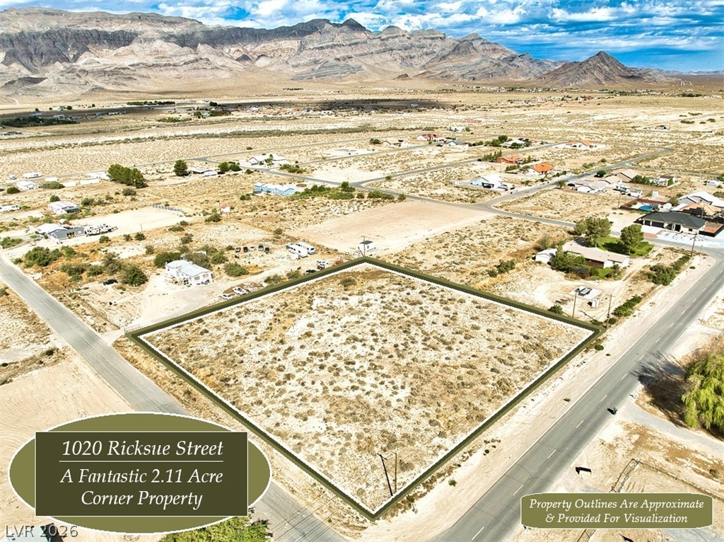 1020 Ricksue Street, Pahrump 89060