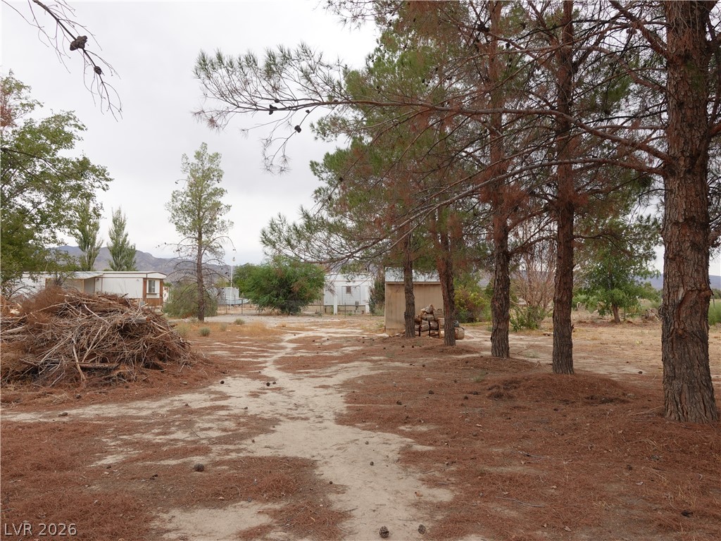 Photo 36 of 48, 1780 Cicchi Street