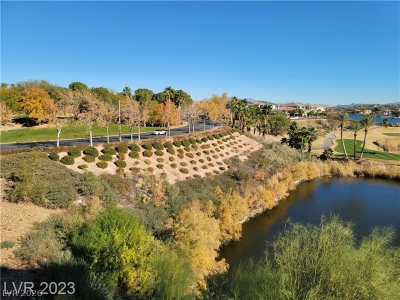 Photo 22 of 48, 29 Montelago Boulevard #336