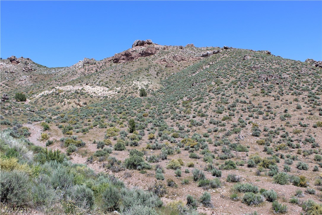 Photo 6 of 11, Hillside Residential - 77 Acres